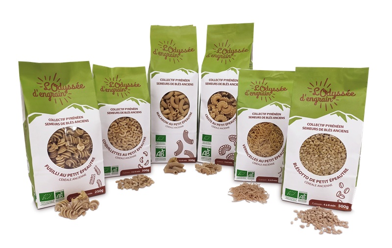 Photo de famille des sachets verts au petit épeautre non hybridé