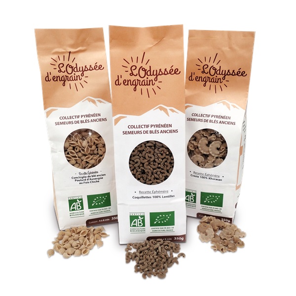 Famille de sachets de pâtes éphémères - 350g